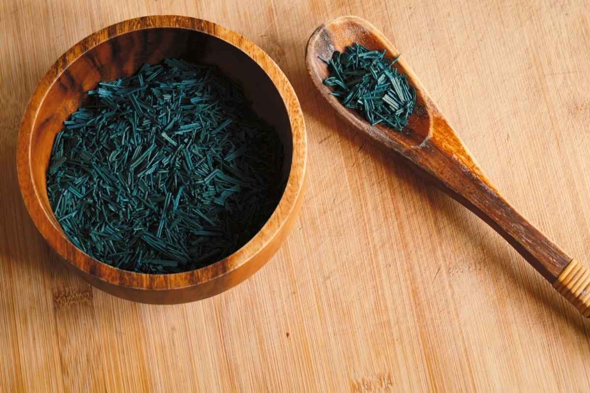 biljka spirulina u drvenoj činiji