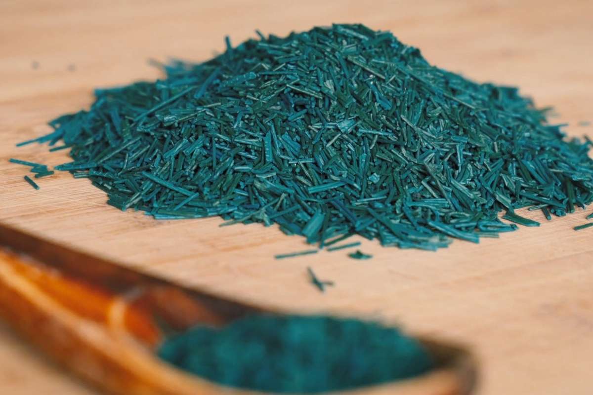 prikaz algi spiruline